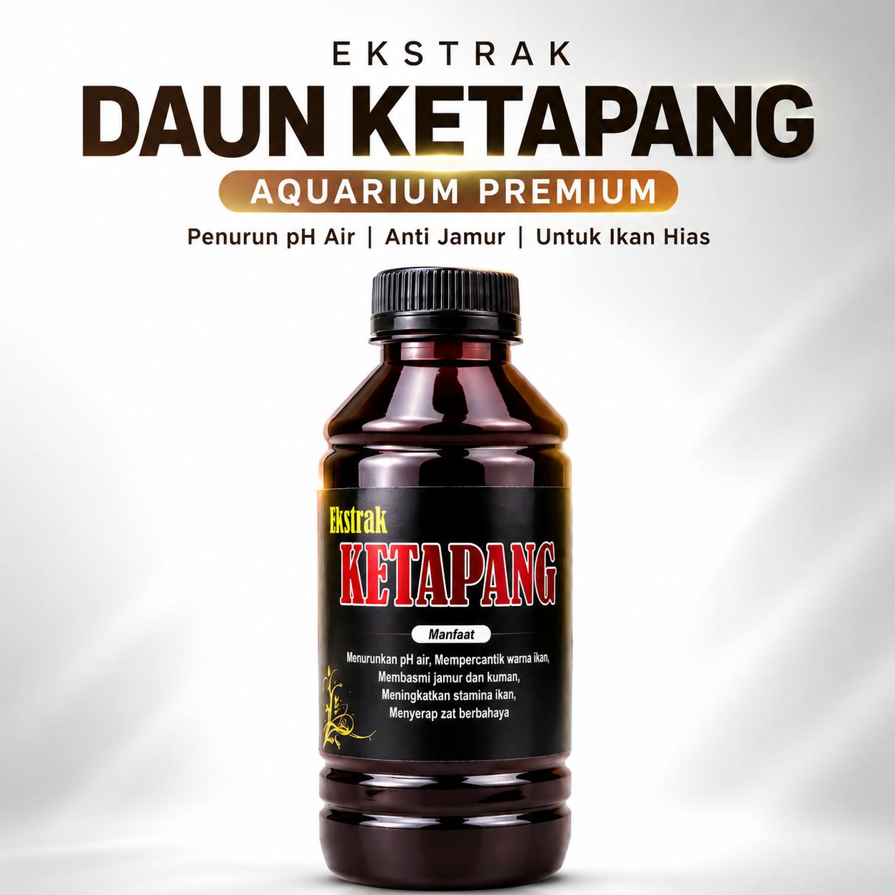 Ekstrak Ketapang Pekat Untuk ikan channa
