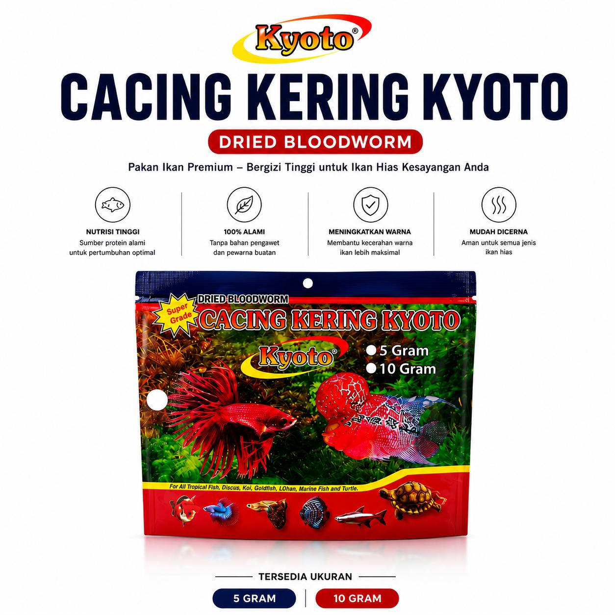 CACING KERING Kyoto Tubifex Worms Freeze
